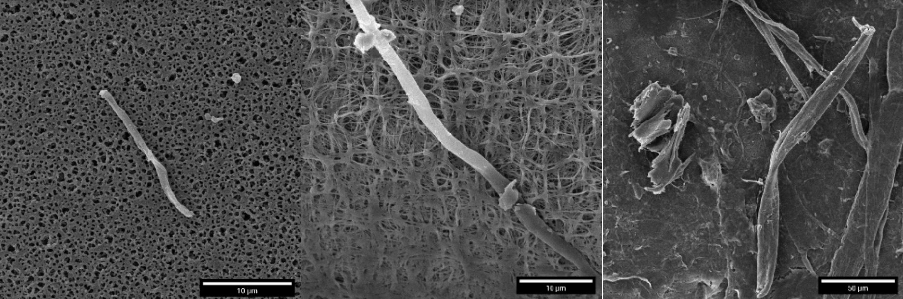 Microplastics in Drinking Water SEM Investigation